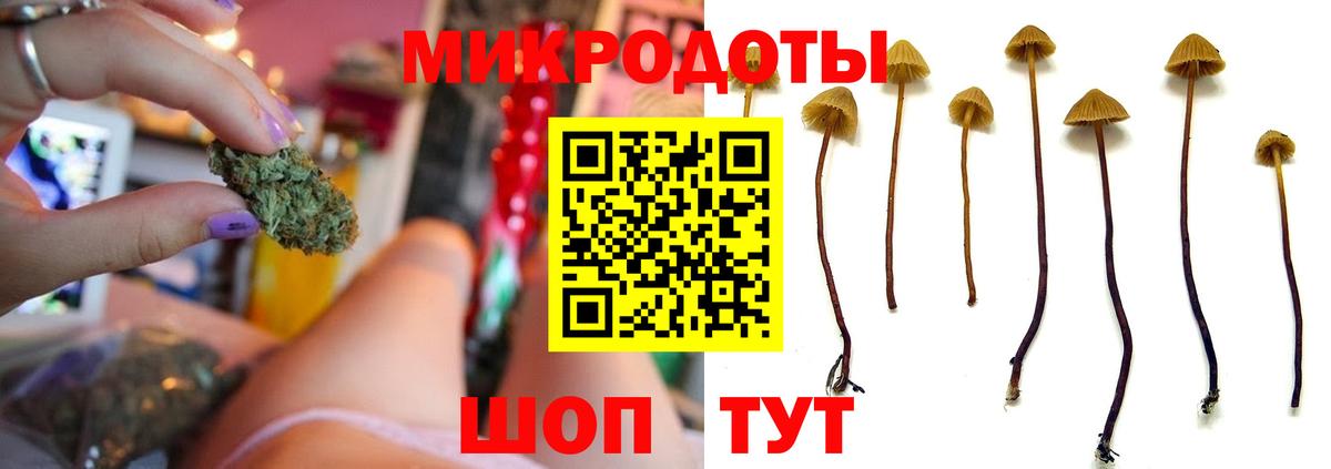 Шарыпово  Псилоцибиновые грибы MAGIC MUSHROOMS  Псилоцибиновые грибы прущие грибы  Вход с VPN 